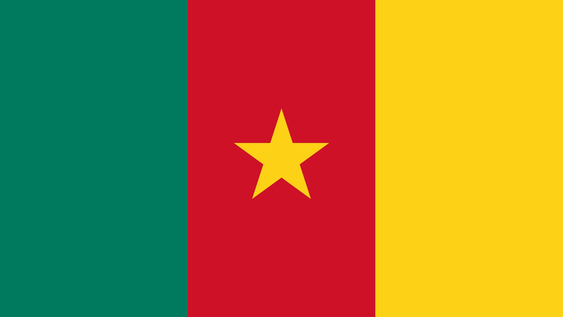 Cameroon  Flag